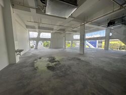 Upper Changi Road North (D17), Shop House #462993301